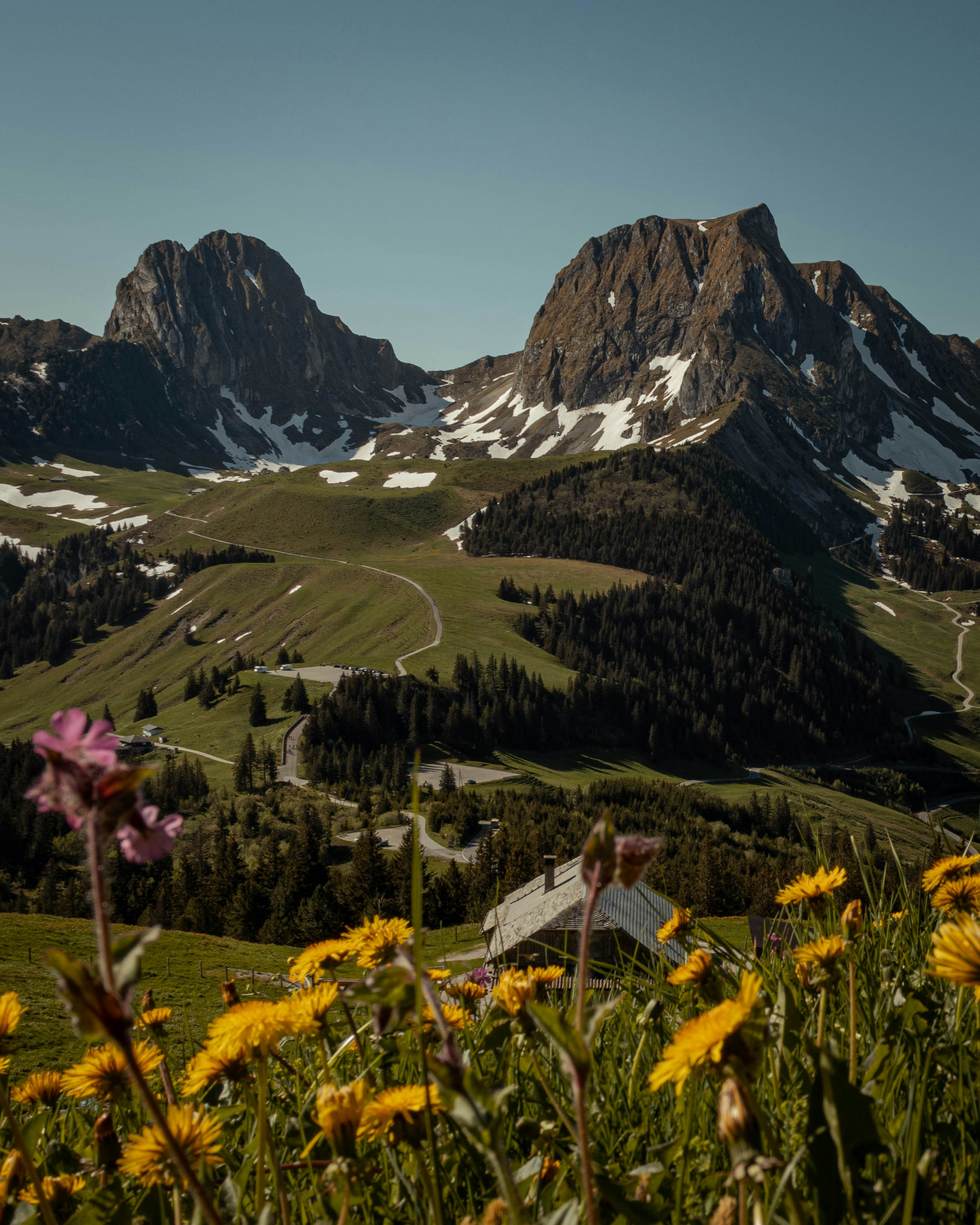 Valley Of Flowers Tour Package