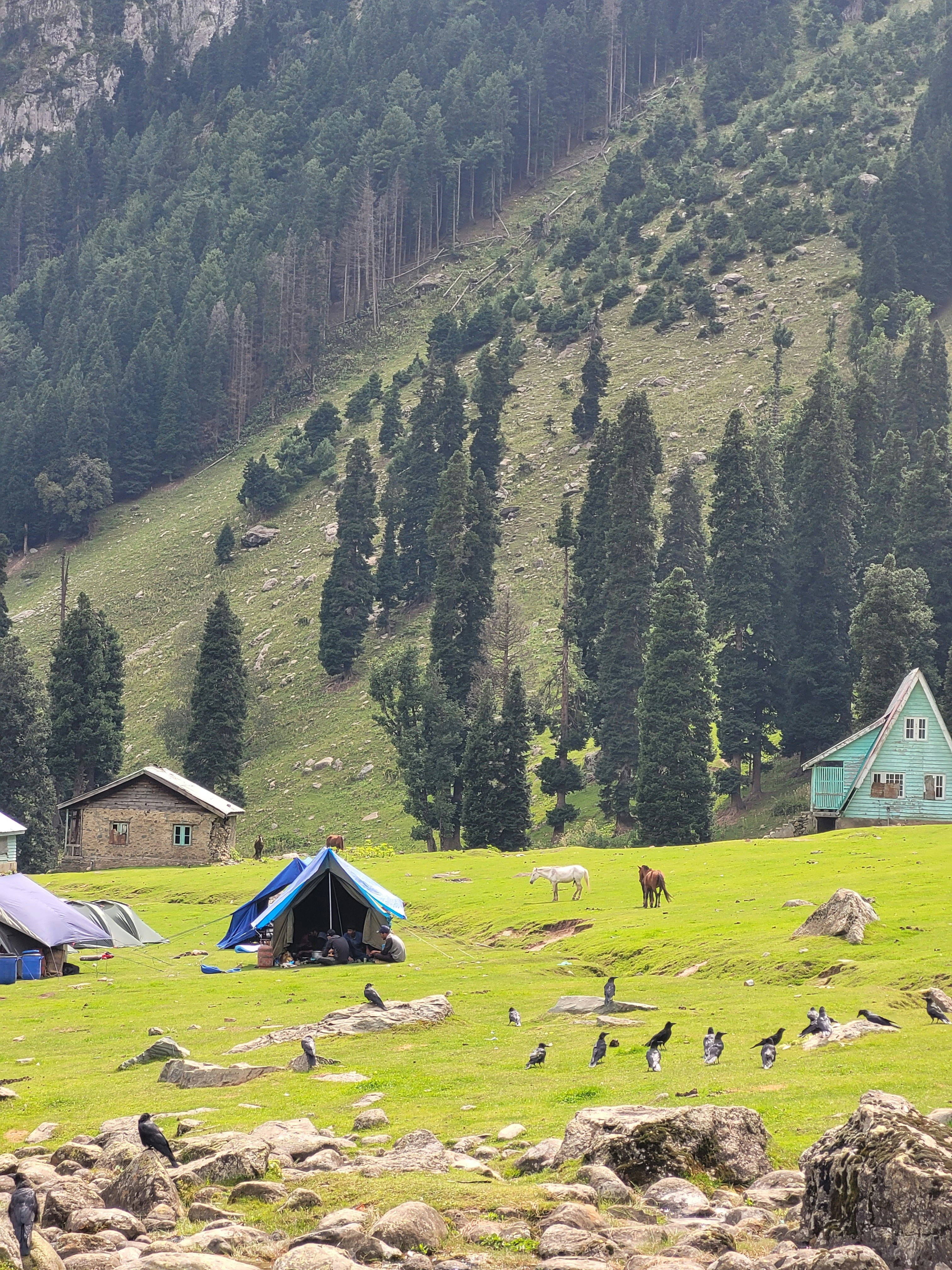 Majestic Gurez Valley Package